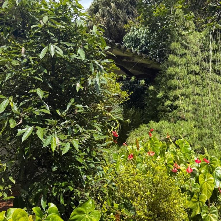ecopolis hospedaje birding - Habitación Doble - 84