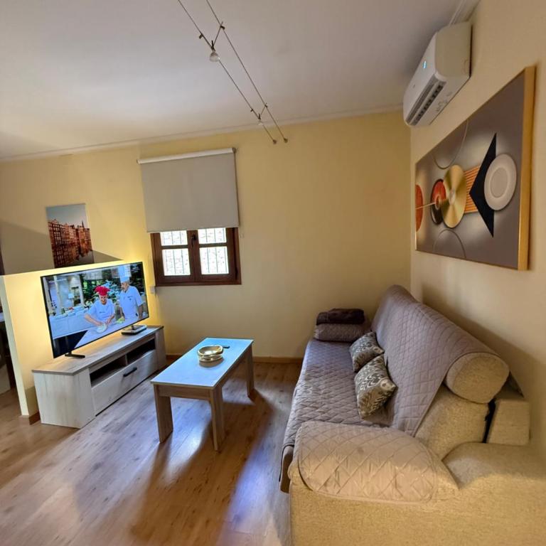 ACOGEDOR APARTAMENTO con TERRAZA, CASCO HISTORICO - Apartamento de 2 dormitorios - 4