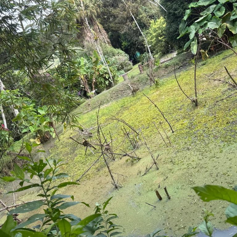 ecopolis hospedaje birding - Habitación Doble - 14