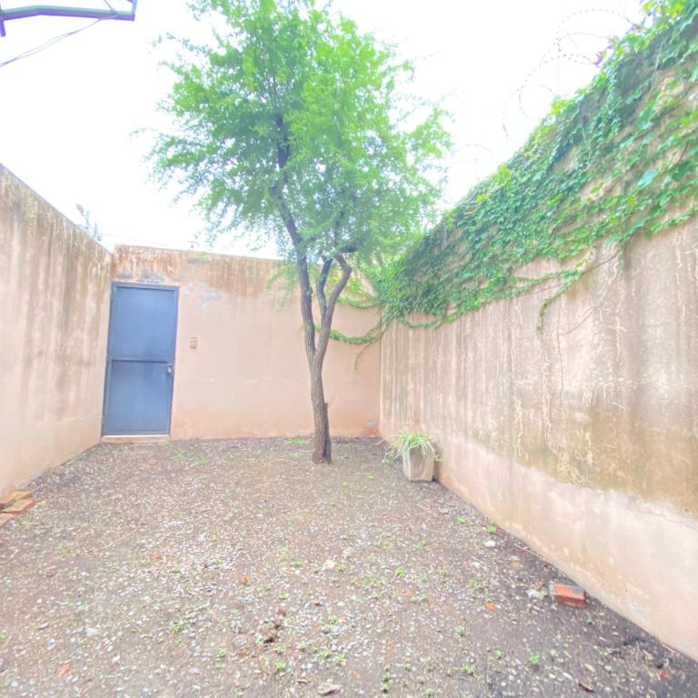Departamento completo en barrio residencial - Apartamento de 1 dormitorio - 21