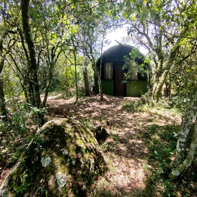 Tao sierras de aigua - Habitación cuádruple - 2