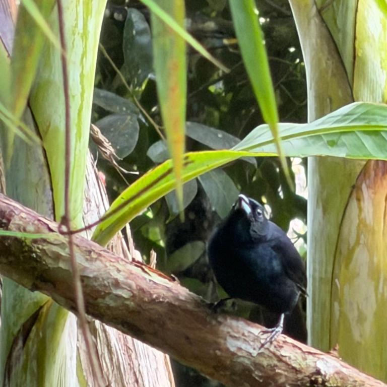 balcon de ecopolis el queremal - Three-Bedroom Standard Apartment - 66
