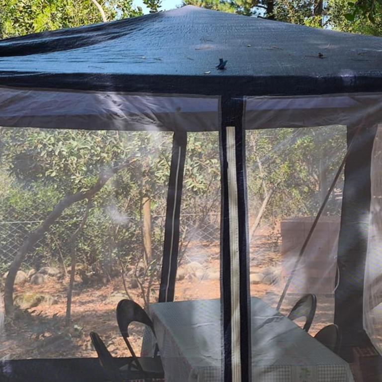 Tienda de Campaña Michi de Campo - Tent - 17