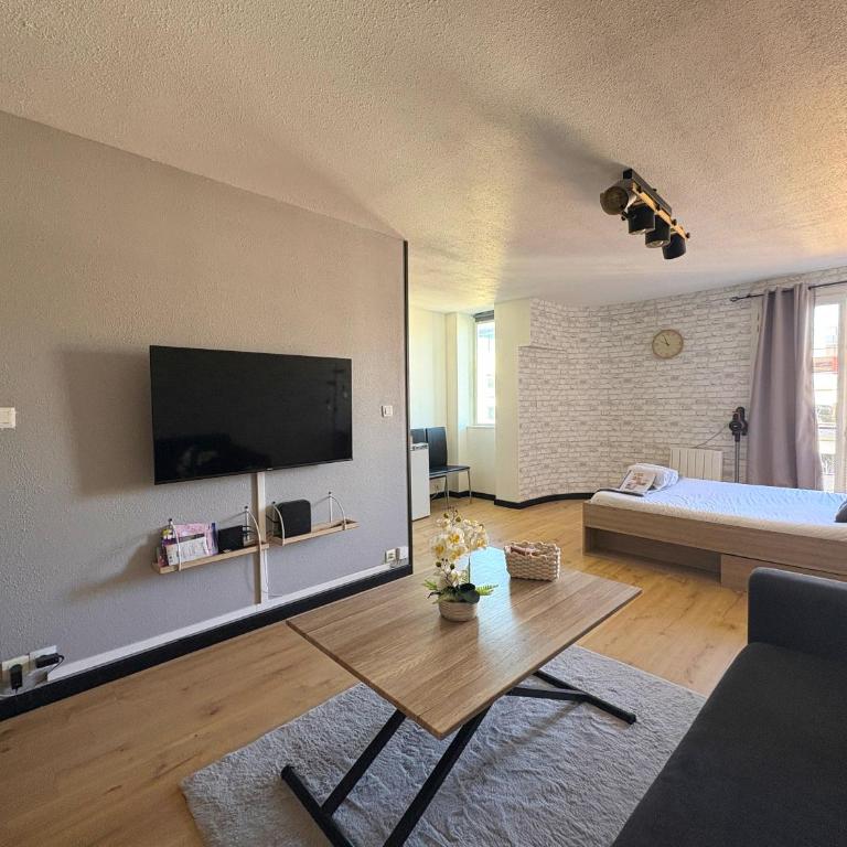 70 - Studio face à la gare Poitiers - Appartement 1 Chambre - 5