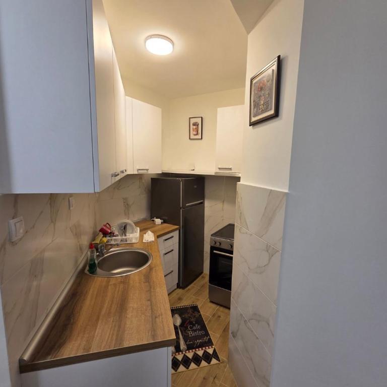 Rakovica, Kneževac - Apartman sa 1 Spavaćom Sobom - 6