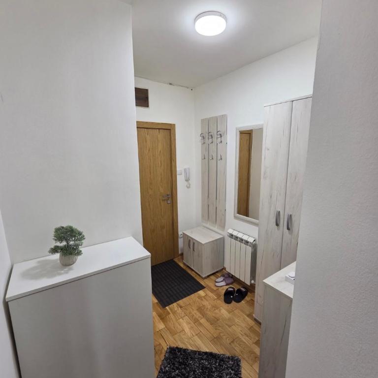 Rakovica, Kneževac - Apartman sa 1 Spavaćom Sobom - 7