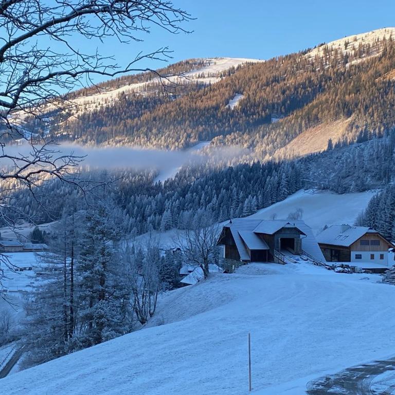 Oswald Lodge - surrounded by nature - Apartment mit 2 Schlafzimmern - 37