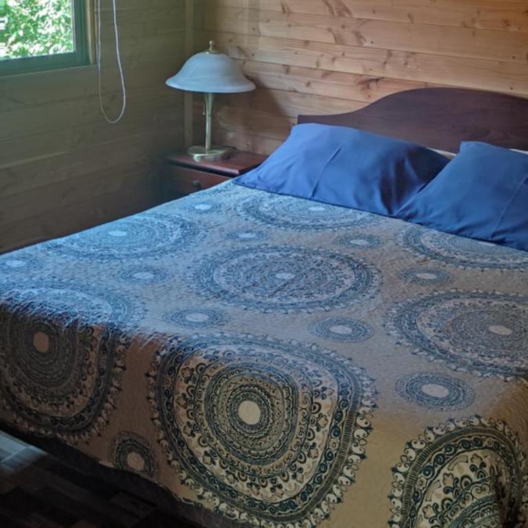 Cabañas Parque Rústico en Villarrica - One-Bedroom House - 3