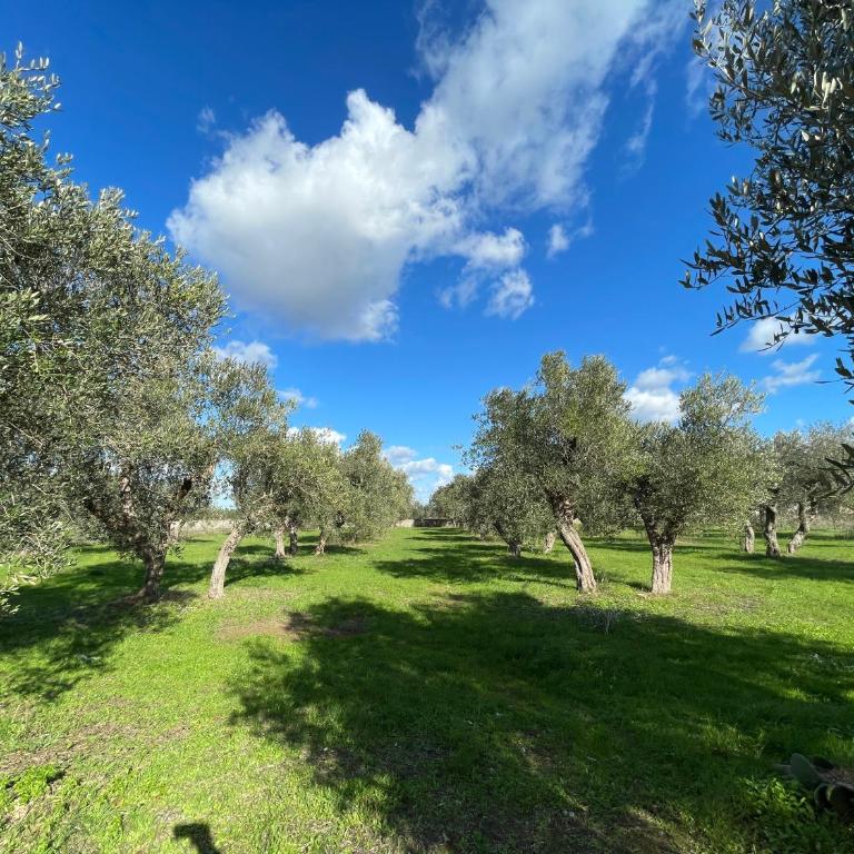 Villa DonnaMaria - Villa con Vista Giardino - 29