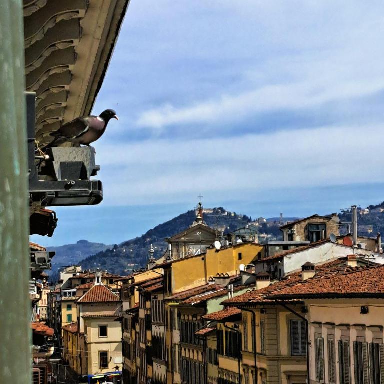 lacasadicavour Duomo Apt - Penthouse Apartment - 10