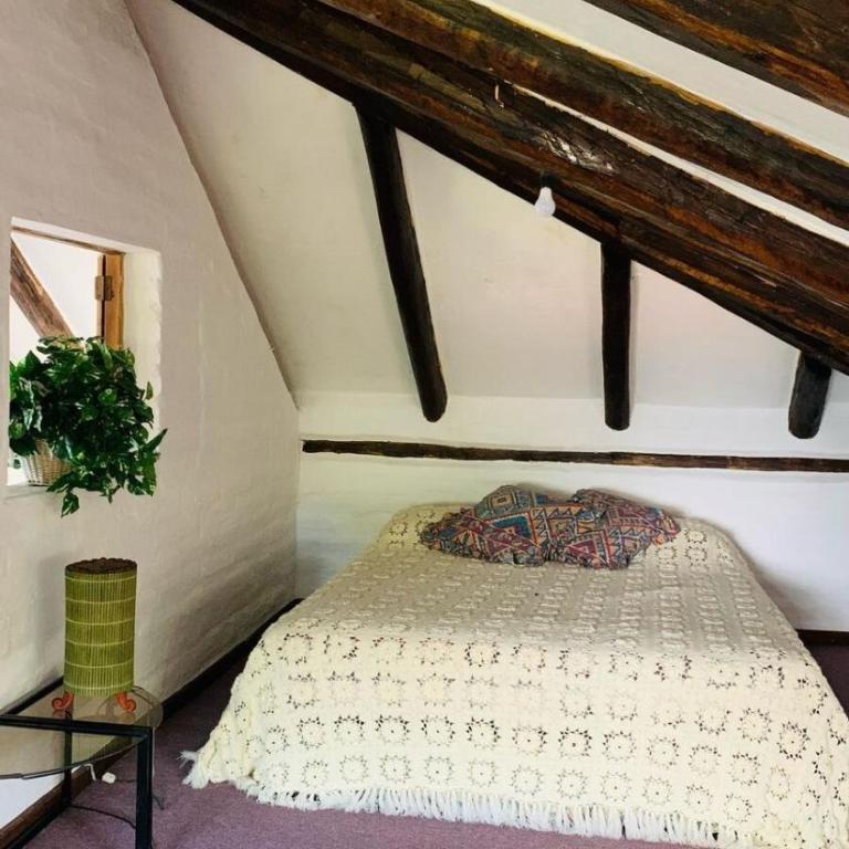 Pifo Pool House free Airport pickup Tours - Three-Bedroom House - 5