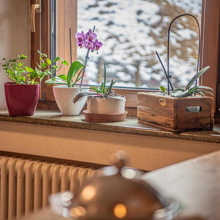Appartamento su 2 livelli Freita -Myholidaylivigno - Apartamento de 2 dormitorios - 14
