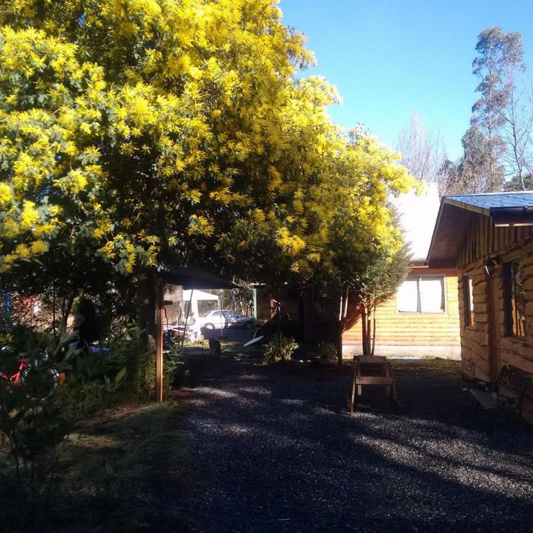 Cabañas Parque Rústico en Villarrica - One-Bedroom House - 8