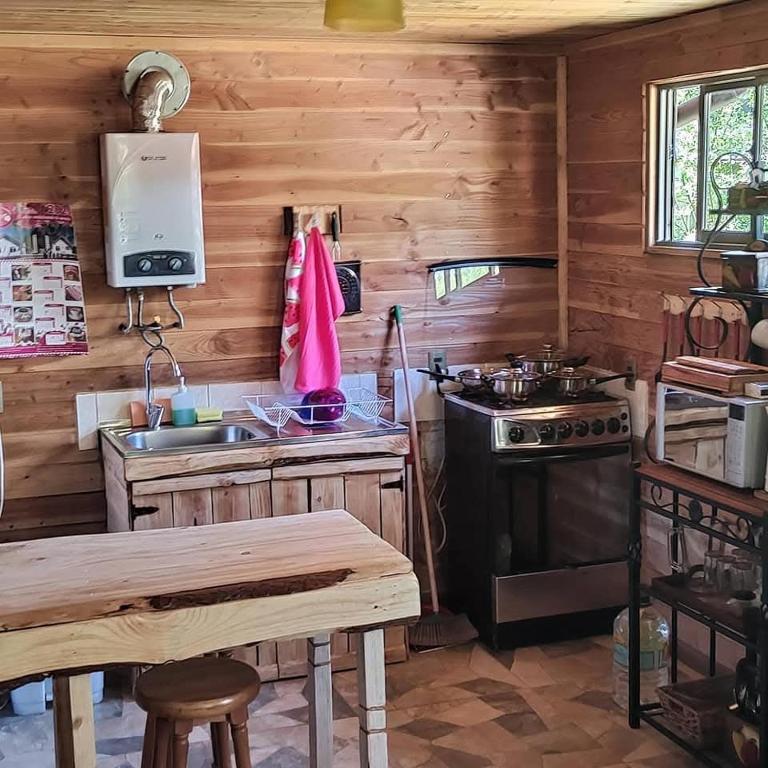 Cabañas Parque Rústico en Villarrica - One-Bedroom House - 10