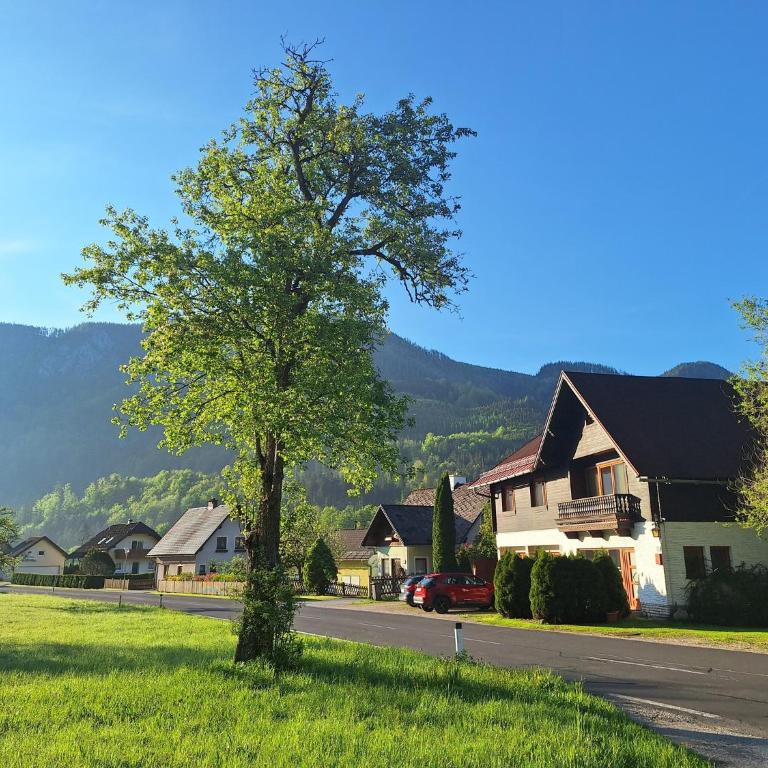 Adventure House - Suite Familiare Deluxe - 17