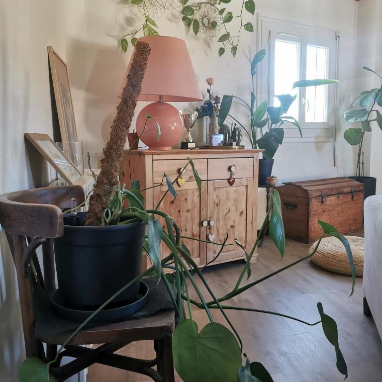 Charmant appartement lumineux - Centre ville de Perpignan - One-Bedroom Apartment - 4