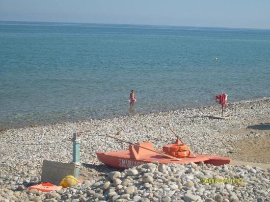 Sweet Summer House - Apartamento de 2 dormitorios - 28