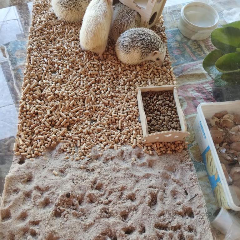 Hospedaje Cabaña Completa - One-Bedroom Apartment - 10