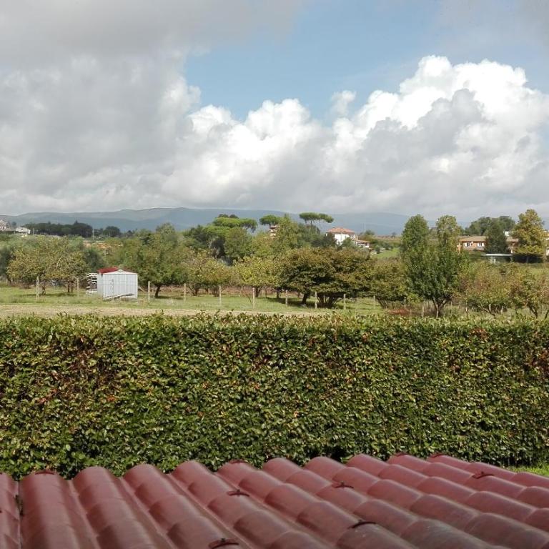 Villa Chiara - Casa Vacanze - 13