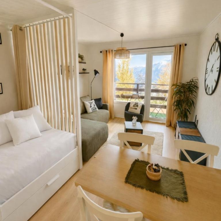 Vue imprenable sur les Alpes et Parking privé gratuit - Appartement 1 Chambre - 11