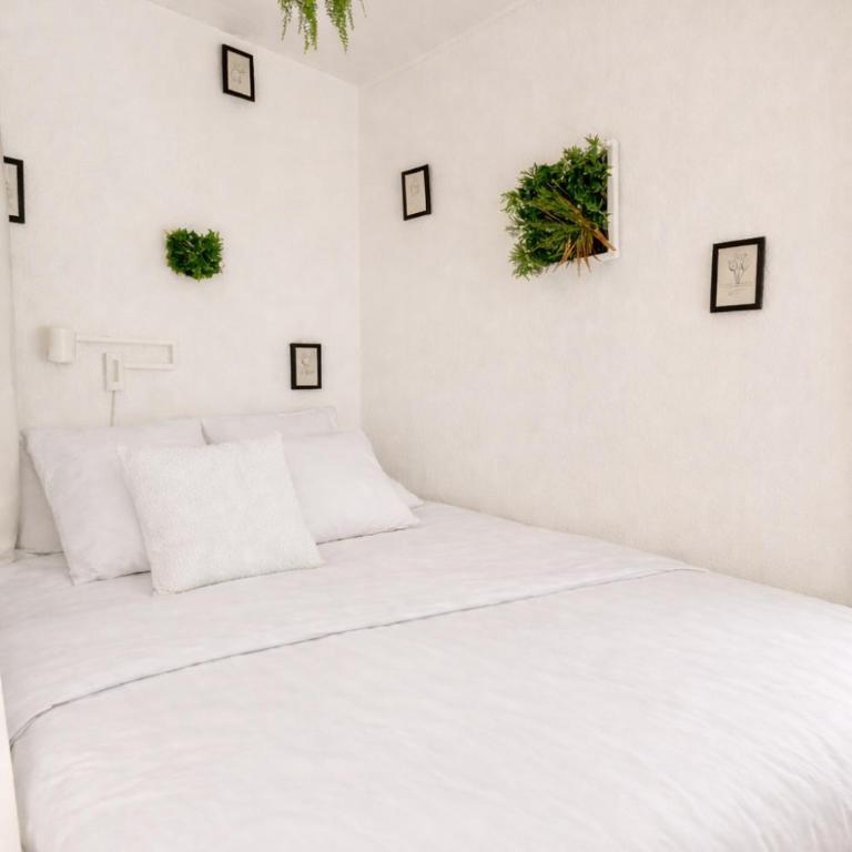 Vue imprenable sur les Alpes et Parking privé gratuit - Appartement 1 Chambre - 6