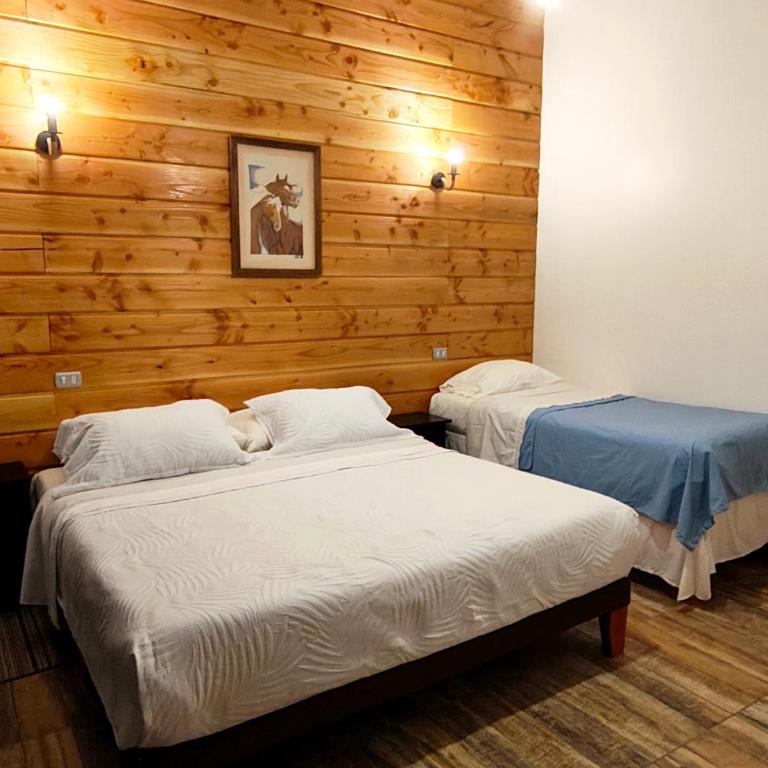 Cabañas Lagos y Volcanes - One-Bedroom House - 2