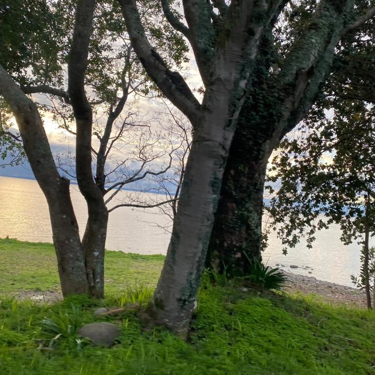 Lindo Depto Puerto Varas lago Edif Bandurrias - One-Bedroom Apartment - 30