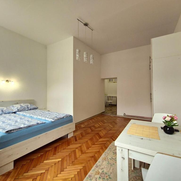 Cozy apartman in the center - Apartman sa 1 Spavaćom Sobom - 1