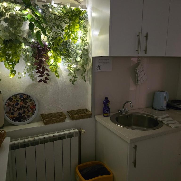 Cozy apartman in the center - Apartman sa 1 Spavaćom Sobom - 3