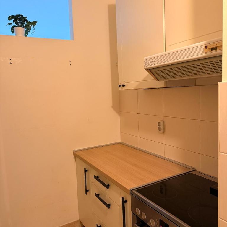 Light & Cozy Flat Banovo Brdo - One-Bedroom Apartment - 13