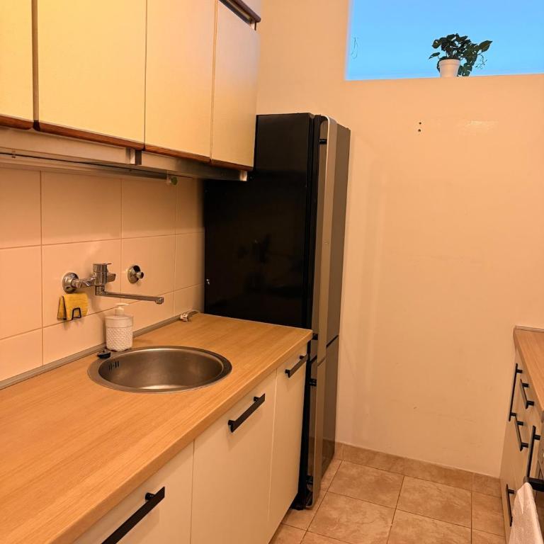 Light & Cozy Flat Banovo Brdo - One-Bedroom Apartment - 12
