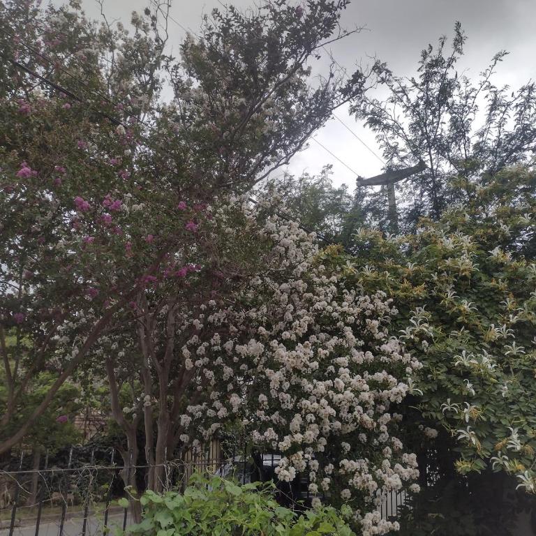 Refugio Serrano Carlos Paz parque y pileta privada - Casa de 3 dormitorios - 20