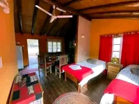 Hotel MIG - Apartamento de 1 dormitorio - 7