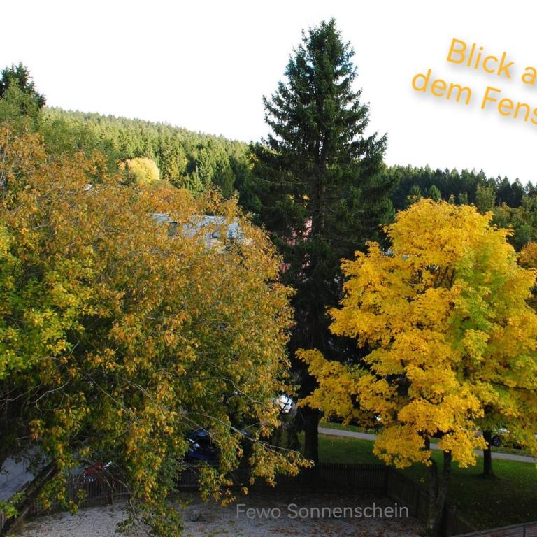 Familienwohnung Sonnenschein mit Hallenbad, Sauna & activCARD - Apartment - 13