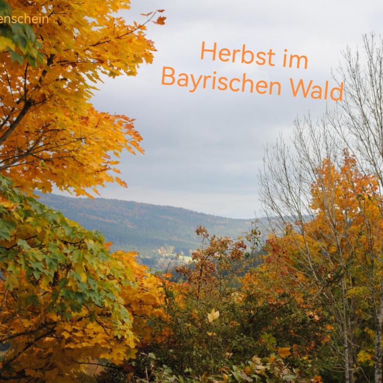 Familienwohnung Sonnenschein mit Hallenbad, Sauna & activCARD - Apartment - 25