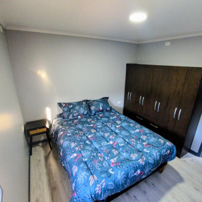 Arriendo en Valdivia cabañas - Apartamento de 1 dormitorio - 3