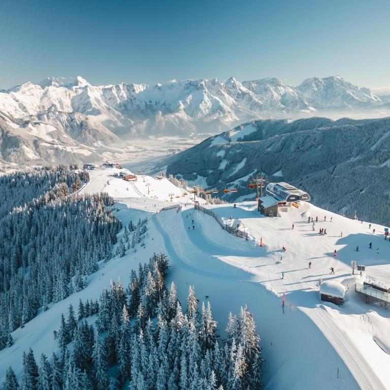 Leogang apartment with mountain views - Three-Bedroom Apartment - 29