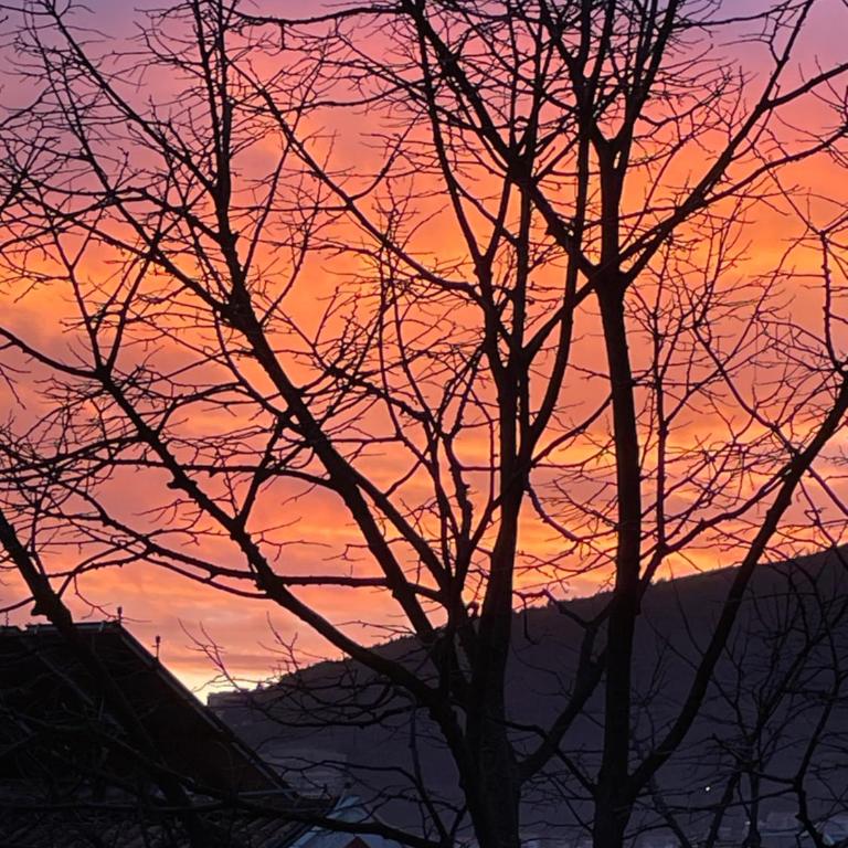 Lupo - Apartment - 1