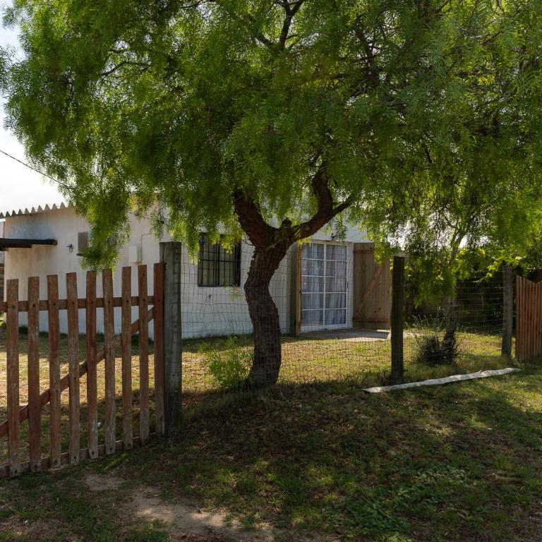 Renapau2D - Casa de 2 dormitorios - 4