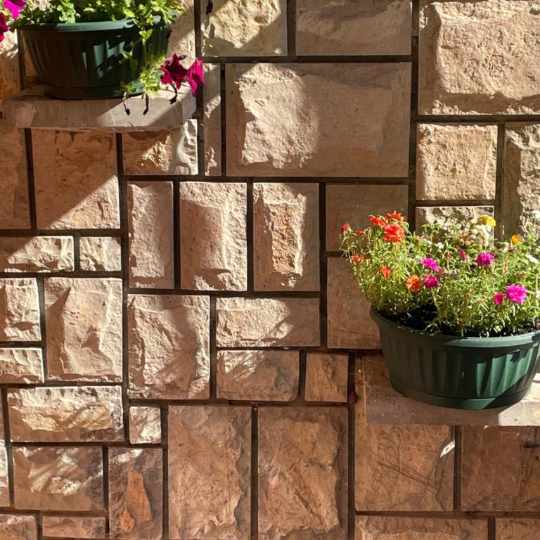 Apartment Lupo - Apartman - 10