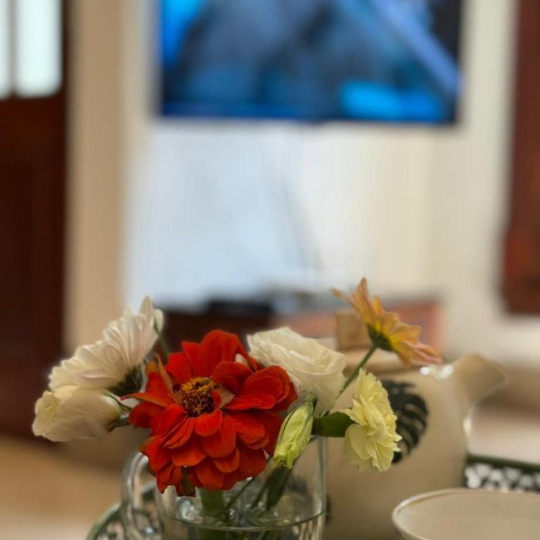 Casa 37 - Apartamento de 1 dormitorio - 1