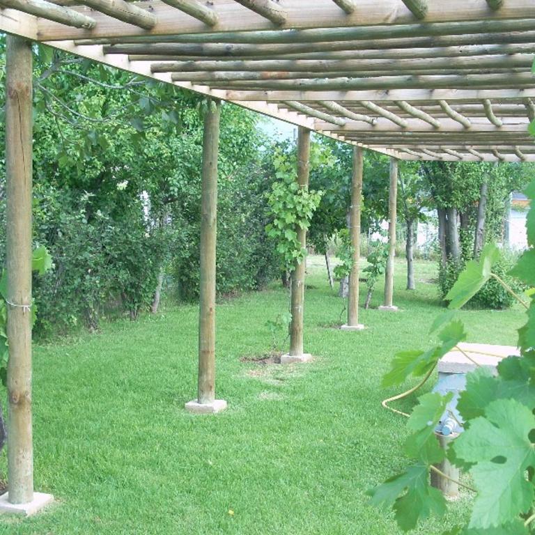 Casa los olivos - Five-Bedroom House - 3