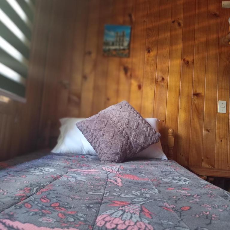Hostal Patagonia LicanRay - Double Room with Private Bathroom - 6