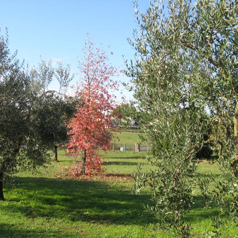 Villa Chiara - Casa Vacanze - 8