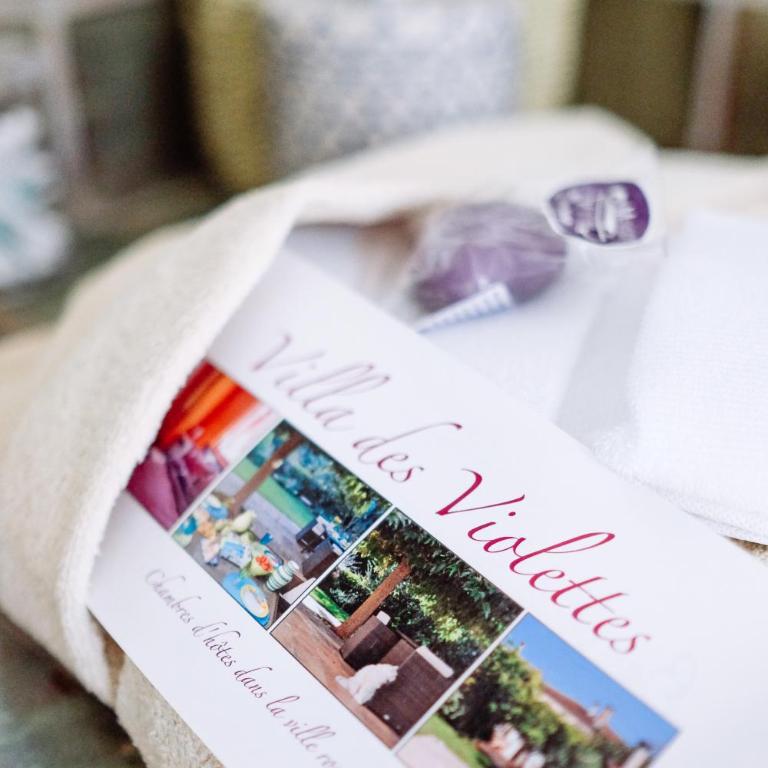La Villa des Violettes - Chambre Double - 17