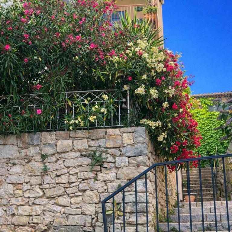 Gîte "Le Figuier de Saint Ce" Jardinet Terrasse Vue - Appartement 3 Chambres - 30