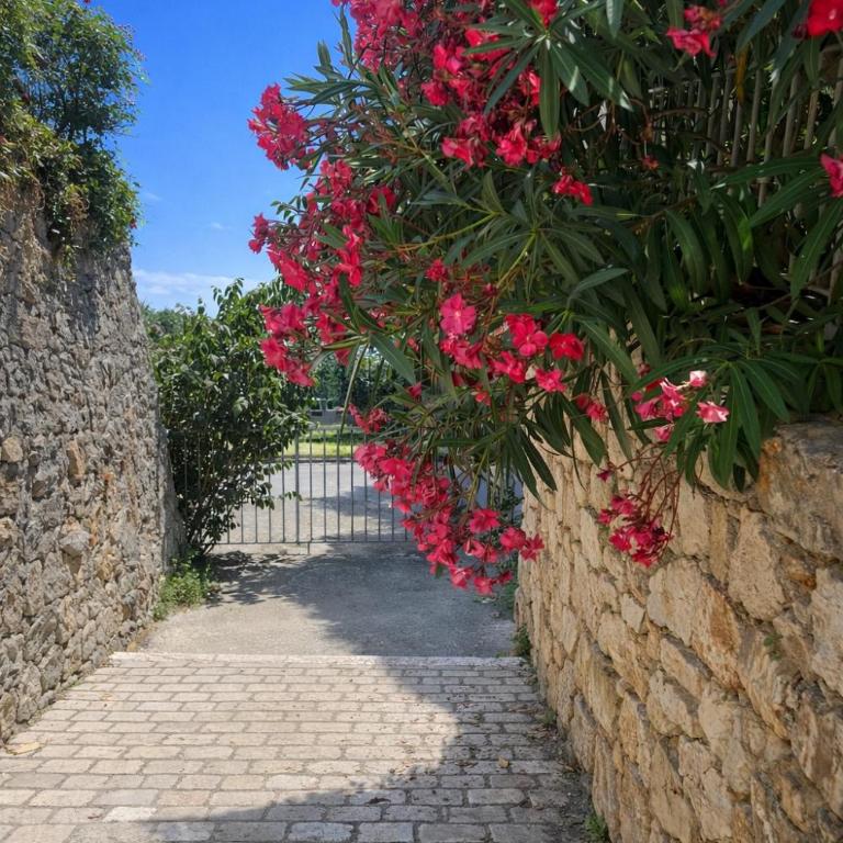 Gîte "Le Figuier de Saint Ce" Jardinet Terrasse Vue - Appartement 3 Chambres - 12