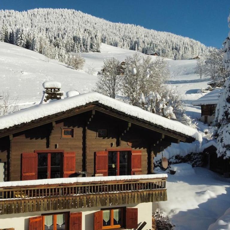 Chalet Le Chavan with magnificent view 6-8 people - Chalet - 1
