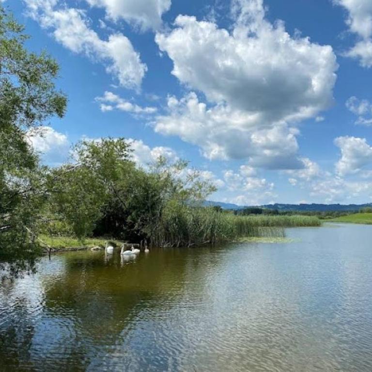 Ferienhof Endras direkt am See - Apartment mit 1 Schlafzimmer - 6