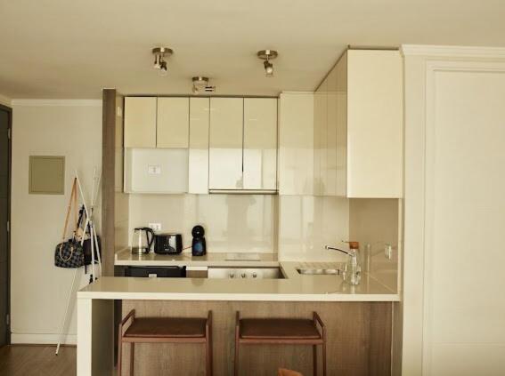 Comfortable apartment in Vitacura near shopping - One-Bedroom Apartment - 12
